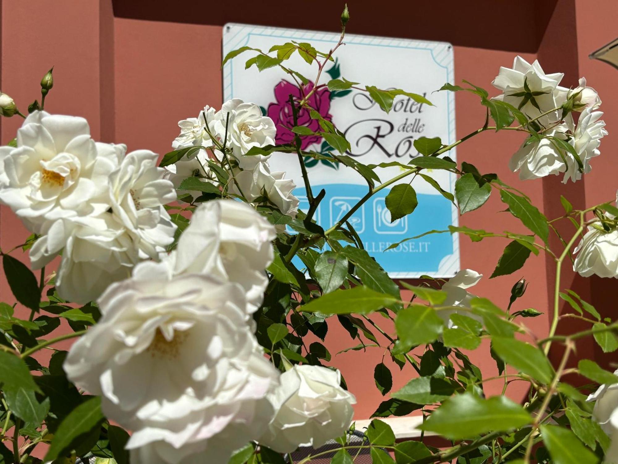 Hotel Delle Rose San Bartolomeo Al Mare Bagian luar foto