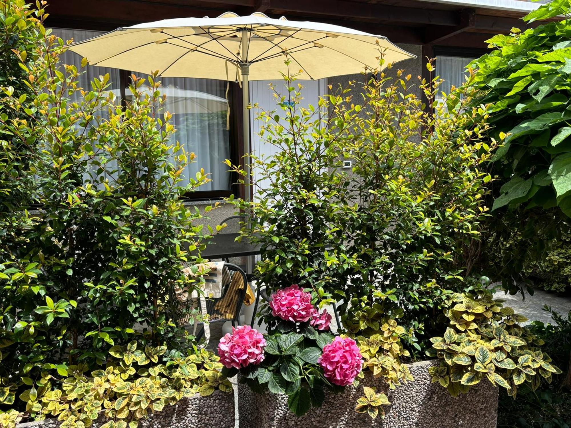 Hotel Delle Rose San Bartolomeo Al Mare Bagian luar foto